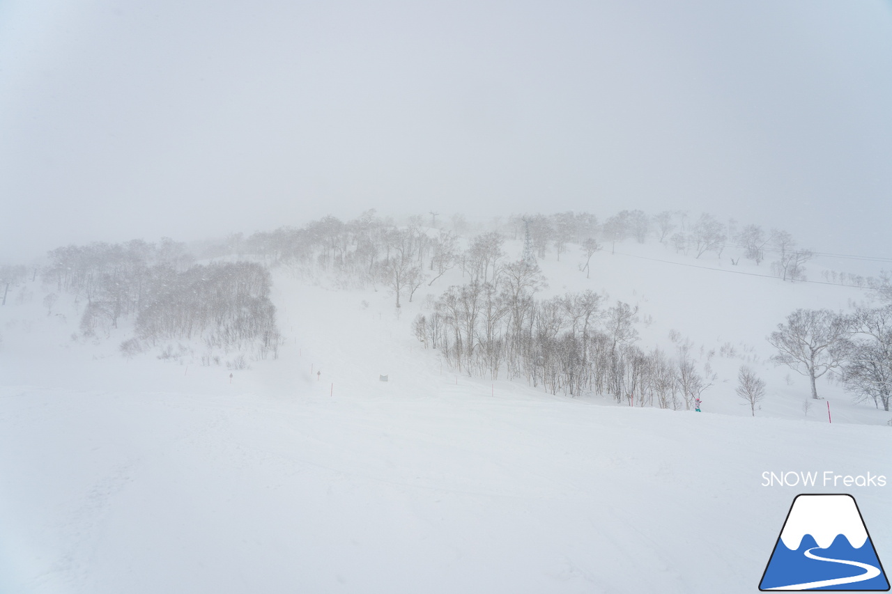 ニセコビレッジスキーリゾート｜気温 -18℃…。最強寒波到来で視界不良なほどのパウダースノーが降り積もる！